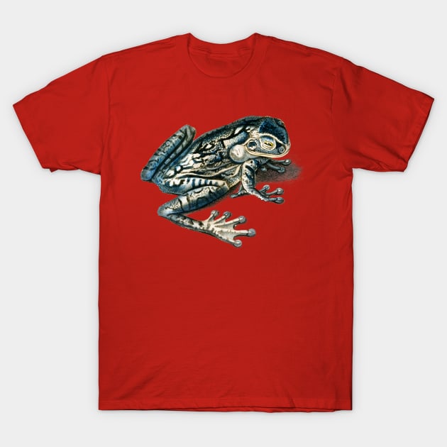 Vintage black-spotted casque-headed tree frog T-Shirt by Phantom Troupe